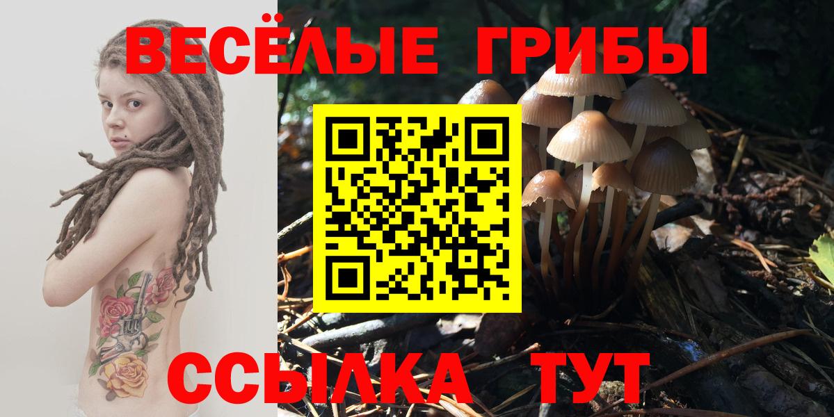 купить наркоту  Вход с VPN  Ярцево  Галлюциногенные грибы Psilocybine cubensis 