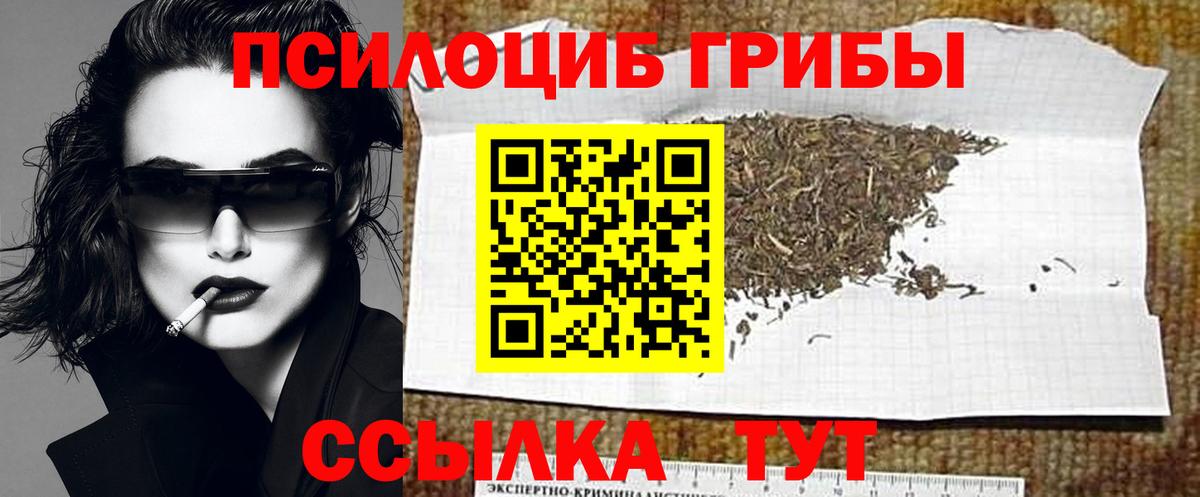 Псилоцибиновые грибы Psilocybe Ярцево