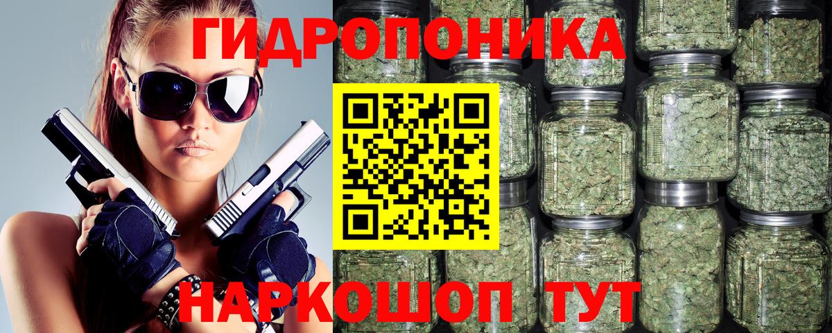 Ярцево  Шишки марихуана тримм  МАРИХУАНА план  МАРИХУАНА Amnesia  Вход с VPN  МАРИХУАНА план 
